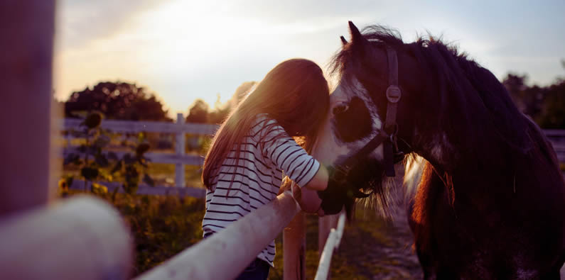 Mädchen spricht mit einem Pferd
